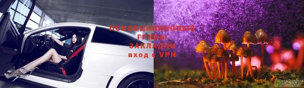 наркотики Богданович