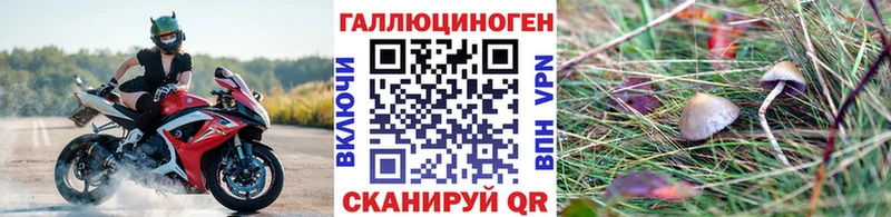 Псилоцибиновые грибы Psilocybine cubensis  Мценск 